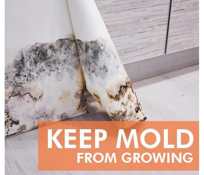 Mold damage in a home