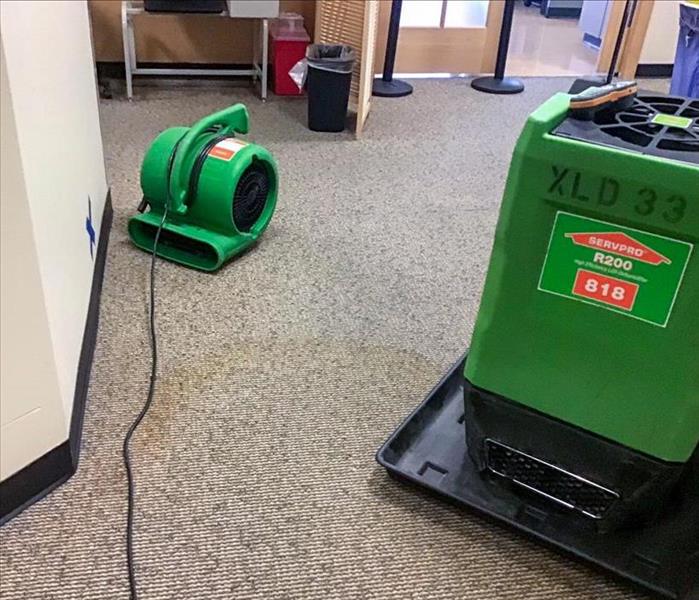 SERVPRO equipment set up on a carpet in a Kennewick, WA house to dry the water damage