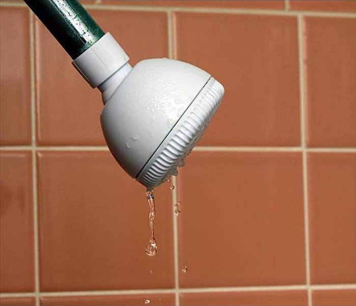 Shower leak
